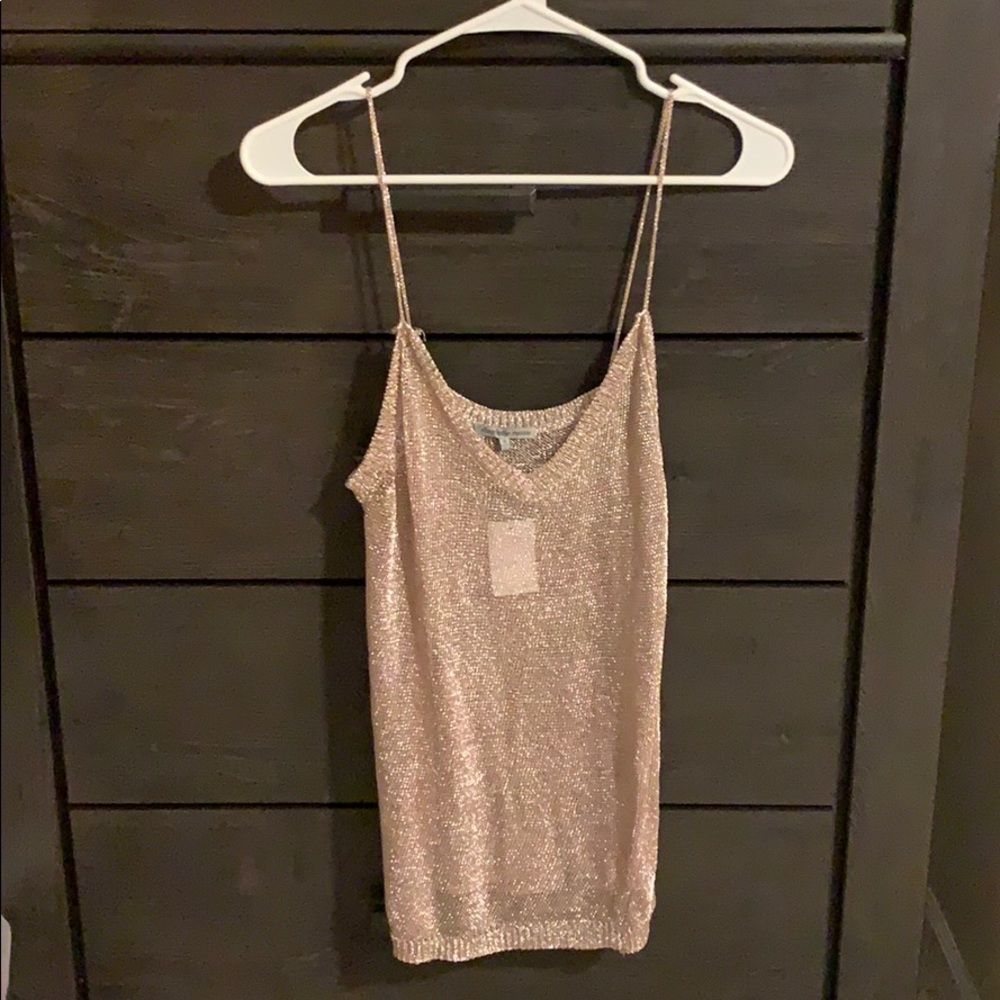 Charlotte Russe Shimmery Top